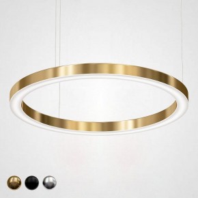 Подвесной светильник Imperiumloft Light Ring Horizontal 40.1454-100 в Златоусте - zlatoust.mebel24.online | фото