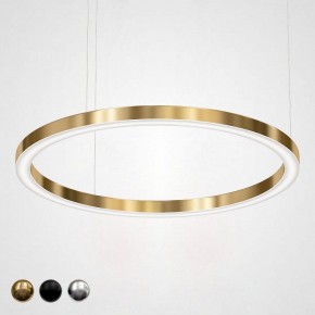 Подвесной светильник Imperiumloft Light Ring Horizontal 40.1454-120 в Златоусте - zlatoust.mebel24.online | фото