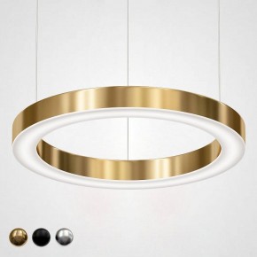 Подвесной светильник Imperiumloft Light Ring Horizontal 40.1454-60 в Златоусте - zlatoust.mebel24.online | фото