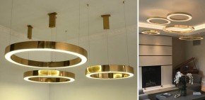 Подвесной светильник Imperiumloft Light Ring Horizontal 40.1454-80 в Златоусте - zlatoust.mebel24.online | фото 2