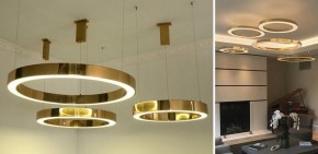 Подвесной светильник Imperiumloft Light Ring Horizontal 40.1454-80 в Златоусте - zlatoust.mebel24.online | фото 3
