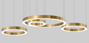 Подвесной светильник Imperiumloft Light Ring Horizontal 40.1454-80 в Златоусте - zlatoust.mebel24.online | фото 4