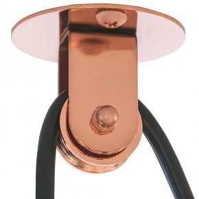 Подвесной светильник Lightstar Acrobata 761073 в Златоусте - zlatoust.mebel24.online | фото 5