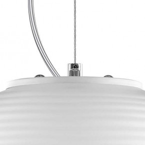 Подвесной светильник Lightstar Arnia 805011 в Златоусте - zlatoust.mebel24.online | фото 6