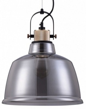 Подвесной светильник Maytoni Irving T163PL-01C в Златоусте - zlatoust.mebel24.online | фото 2