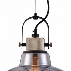 Подвесной светильник Maytoni Irving T163PL-01C в Златоусте - zlatoust.mebel24.online | фото 9