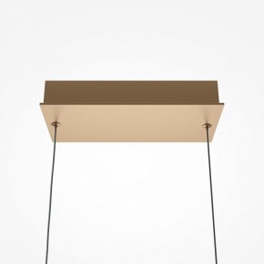 Подвесной светильник Maytoni Plons MOD283PL-L40BS3K в Златоусте - zlatoust.mebel24.online | фото 4