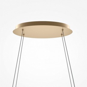 Подвесной светильник Maytoni Plons MOD283PL-L65BS3K в Златоусте - zlatoust.mebel24.online | фото 4