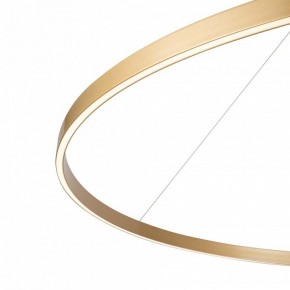 Подвесной светильник Maytoni Rim MOD058PL-L65BSK в Златоусте - zlatoust.mebel24.online | фото 5