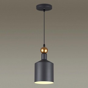 Подвесной светильник Odeon Light Bolli 4085/1 в Златоусте - zlatoust.mebel24.online | фото 3