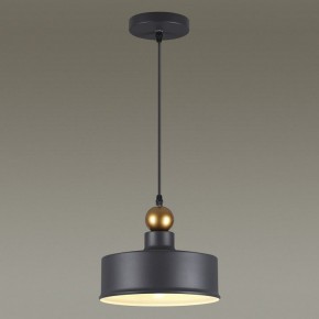 Подвесной светильник Odeon Light Bolli 4088/1 в Златоусте - zlatoust.mebel24.online | фото 4