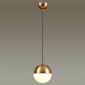 Подвесной светильник Odeon Light Pinga 4960/1 в Златоусте - zlatoust.mebel24.online | фото 2