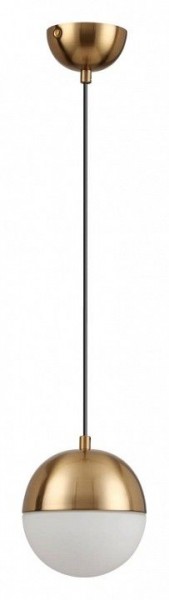 Подвесной светильник Odeon Light Pinga 4960/1 в Златоусте - zlatoust.mebel24.online | фото 3