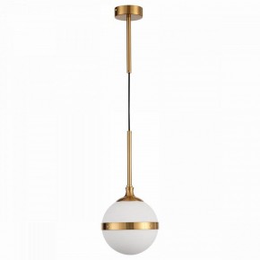 Подвесной светильник ST-Luce Arbe SL1157.303.01 в Златоусте - zlatoust.mebel24.online | фото 2