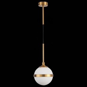 Подвесной светильник ST-Luce Arbe SL1157.303.01 в Златоусте - zlatoust.mebel24.online | фото 4