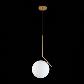 Подвесной светильник ST-Luce Codda SL1148.303.01 в Златоусте - zlatoust.mebel24.online | фото 6