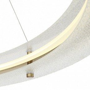 Подвесной светильник ST-Luce FAGY SL6245.213.01 в Златоусте - zlatoust.mebel24.online | фото 6