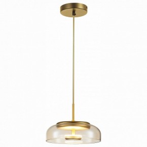 Подвесной светильник ST-Luce Lacio SL6002.203.01 в Златоусте - zlatoust.mebel24.online | фото
