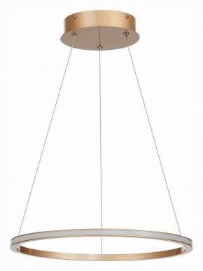 Подвесной светильник ST-Luce ST604 OUT ST604.243.22 в Златоусте - zlatoust.mebel24.online | фото 2