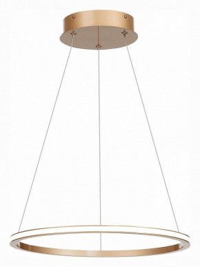 Подвесной светильник ST-Luce ST604 OUT ST604.243.22 в Златоусте - zlatoust.mebel24.online | фото 3