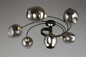 Потолочная люстра Aployt Flor APL.611.17.06 в Златоусте - zlatoust.mebel24.online | фото 1