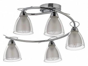 Потолочная люстра Arti Lampadari Paola, Tavenna Nickel Paola E 1.1.5 N в Златоусте - zlatoust.mebel24.online | фото