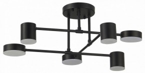 Потолочная люстра EVOLUCE Nobel SLE201042-06 в Златоусте - zlatoust.mebel24.online | фото 11