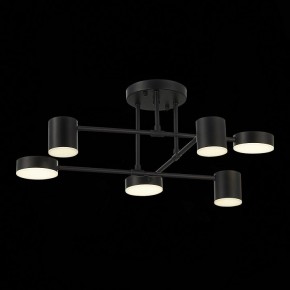 Потолочная люстра EVOLUCE Nobel SLE201042-06 в Златоусте - zlatoust.mebel24.online | фото 13