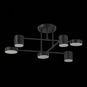 Потолочная люстра EVOLUCE Nobel SLE201042-06 в Златоусте - zlatoust.mebel24.online | фото 14