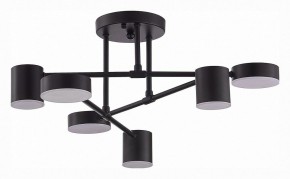 Потолочная люстра EVOLUCE Nobel SLE201042-06 в Златоусте - zlatoust.mebel24.online | фото 3