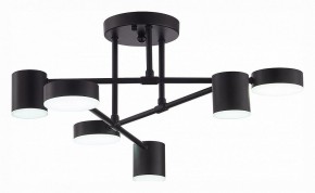 Потолочная люстра EVOLUCE Nobel SLE201042-06 в Златоусте - zlatoust.mebel24.online | фото 5