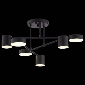 Потолочная люстра EVOLUCE Nobel SLE201042-06 в Златоусте - zlatoust.mebel24.online | фото 6