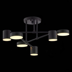 Потолочная люстра EVOLUCE Nobel SLE201042-06 в Златоусте - zlatoust.mebel24.online | фото 7