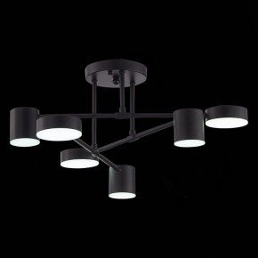 Потолочная люстра EVOLUCE Nobel SLE201042-06 в Златоусте - zlatoust.mebel24.online | фото 9