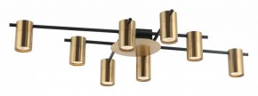 Потолочная люстра Favourite Topper 2827-8P в Златоусте - zlatoust.mebel24.online | фото 2