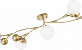 Потолочная люстра Lightstar Croco 815553 в Златоусте - zlatoust.mebel24.online | фото 6