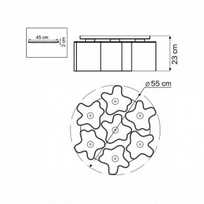 Потолочная люстра Lightstar Nubi 802070 в Златоусте - zlatoust.mebel24.online | фото 6