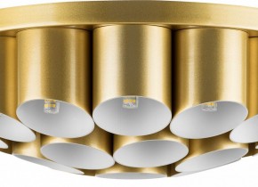 Потолочная люстра Lightstar Siena 720222 в Златоусте - zlatoust.mebel24.online | фото 3