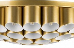 Потолочная люстра Lightstar Siena 720402 в Златоусте - zlatoust.mebel24.online | фото 3