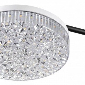 Потолочная люстра Lumion Didana 8236/4CL в Златоусте - zlatoust.mebel24.online | фото 10