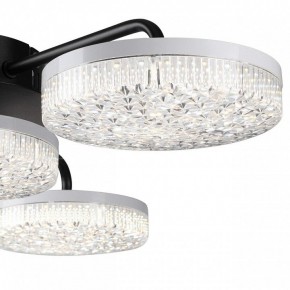 Потолочная люстра Lumion Didana 8236/4CL в Златоусте - zlatoust.mebel24.online | фото 7