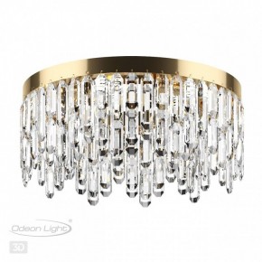 Потолочная люстра Odeon Light Dakisa 4986/6C в Златоусте - zlatoust.mebel24.online | фото 4