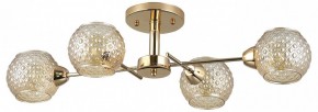 Потолочная люстра Rivoli Amalia Б0050815 в Златоусте - zlatoust.mebel24.online | фото