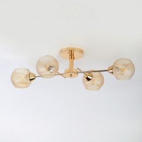 Потолочная люстра Rivoli Amalia Б0050815 в Златоусте - zlatoust.mebel24.online | фото 5