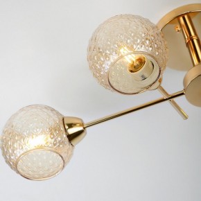 Потолочная люстра Rivoli Amalia Б0050815 в Златоусте - zlatoust.mebel24.online | фото 8