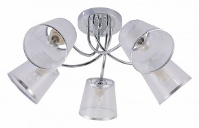 Потолочная люстра Rivoli Shirley Б0059982 в Златоусте - zlatoust.mebel24.online | фото