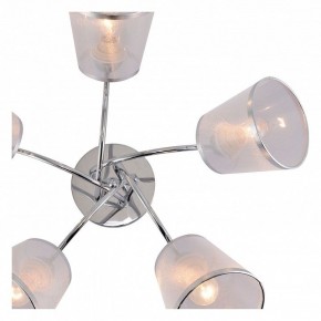 Потолочная люстра Rivoli Shirley Б0059982 в Златоусте - zlatoust.mebel24.online | фото 5