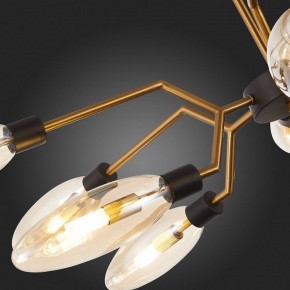 Потолочная люстра ST-Luce Desima SL1174.303.12 в Златоусте - zlatoust.mebel24.online | фото 10