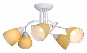 Потолочная люстра Vitaluce V3955 V3955-0/5PL в Златоусте - zlatoust.mebel24.online | фото 2
