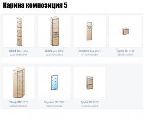 Прихожая Карина (модульная) в Златоусте - zlatoust.mebel24.online | фото 2